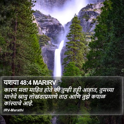 यशया 48:4 MARIRV Bible Verse Image