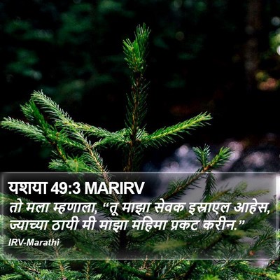 यशया 49:3 MARIRV Bible Verse Image