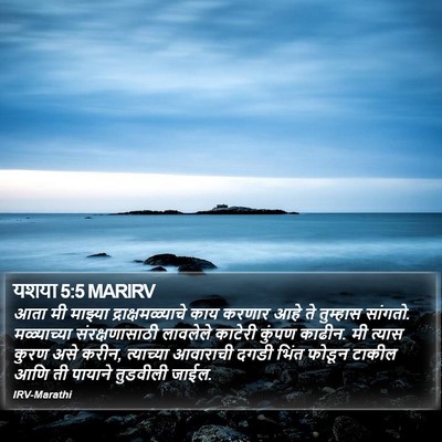यशया 5:5 MARIRV Bible Verse Image