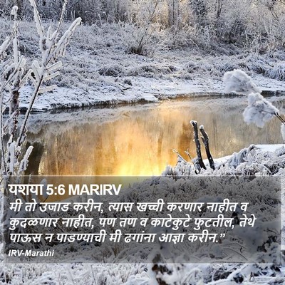 यशया 5:6 MARIRV Bible Verse Image