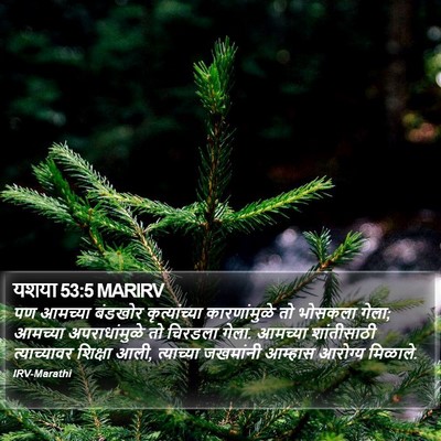 यशया 53:5 MARIRV Bible Verse Image