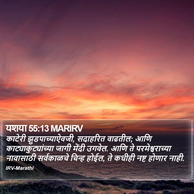 यशया 55:13 MARIRV Bible Verse Image