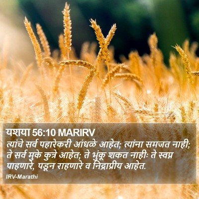 यशया 56:10 MARIRV Bible Verse Image