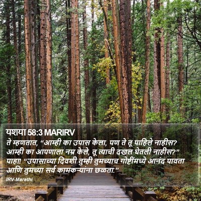 यशया 58:3 MARIRV Bible Verse Image