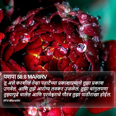 यशया 58:8 MARIRV Bible Verse Image