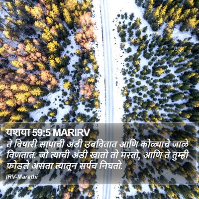 यशया 59:5 MARIRV Bible Verse Image