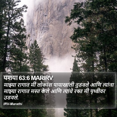 यशया 63:6 MARIRV Bible Verse Image