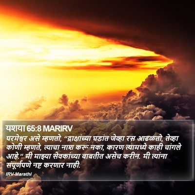 यशया 65:8 MARIRV Bible Verse Image