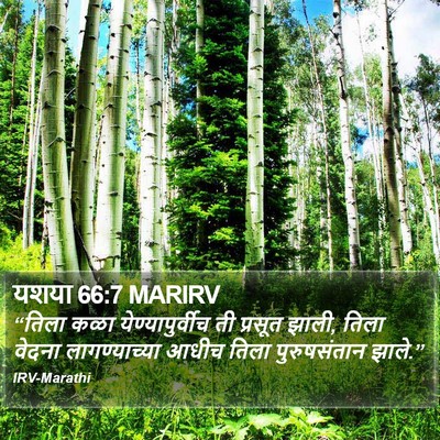 यशया 66:7 MARIRV Bible Verse Image