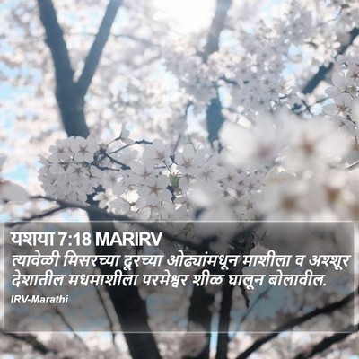 यशया 7:18 MARIRV Bible Verse Image
