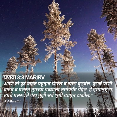 यशया 8:8 MARIRV Bible Verse Image