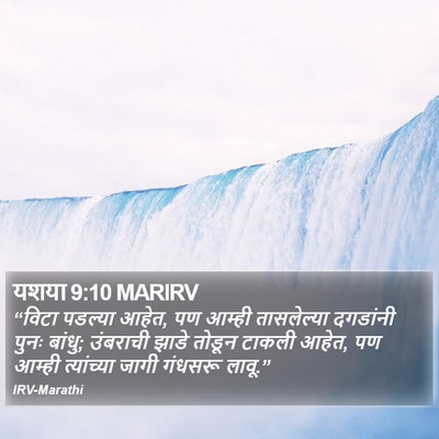 यशया 9:10 MARIRV Bible Verse Image