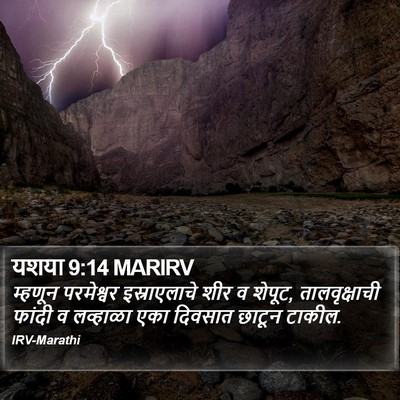 यशया 9:14 MARIRV Bible Verse Image
