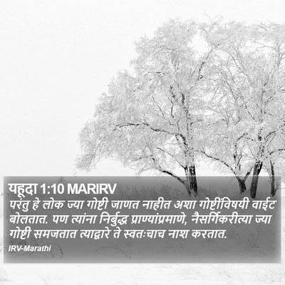 यहूदा 1:10 MARIRV Bible Verse Image