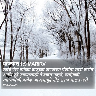 यहेज्केल 1:9 MARIRV Bible Verse Image