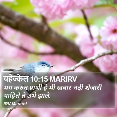 यहेज्केल 10:15 MARIRV Bible Verse Image