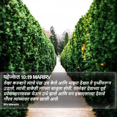 यहेज्केल 10:19 MARIRV Bible Verse Image
