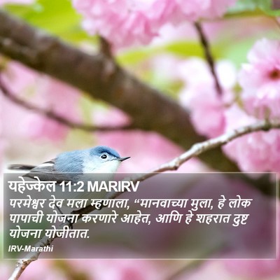 यहेज्केल 11:2 MARIRV Bible Verse Image