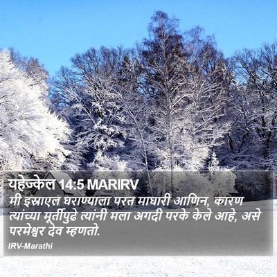 यहेज्केल 14:5 MARIRV Bible Verse Image