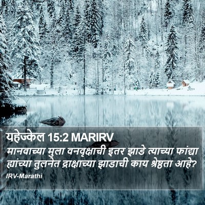 यहेज्केल 15:2 MARIRV Bible Verse Image