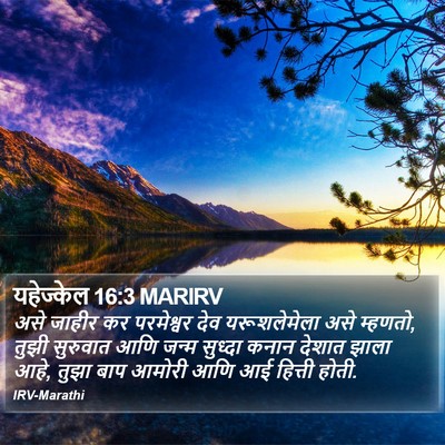 यहेज्केल 16:3 MARIRV Bible Verse Image