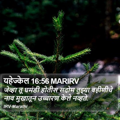 यहेज्केल 16:56 MARIRV Bible Verse Image