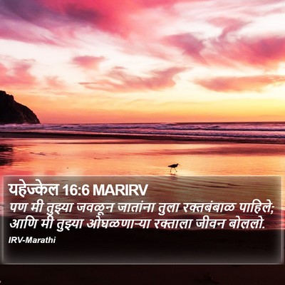 यहेज्केल 16:6 MARIRV Bible Verse Image
