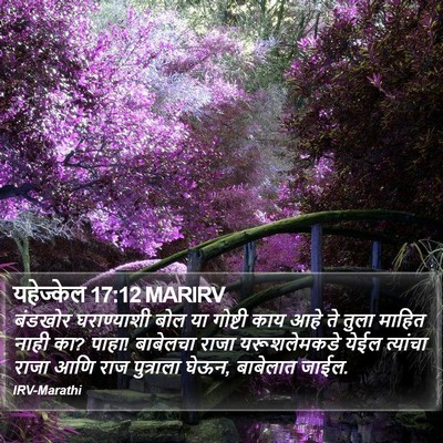 यहेज्केल 17:12 MARIRV Bible Verse Image