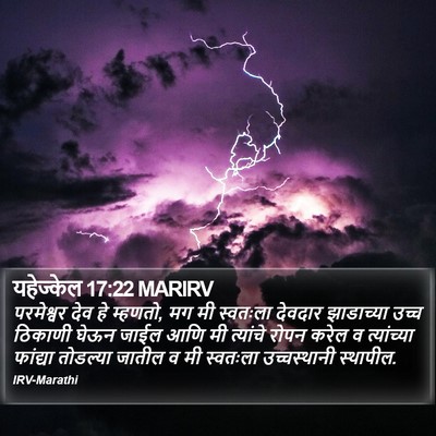 यहेज्केल 17:22 MARIRV Bible Verse Image