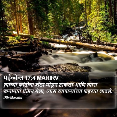 यहेज्केल 17:4 MARIRV Bible Verse Image