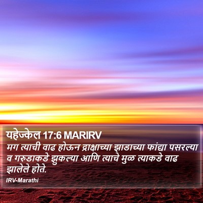 यहेज्केल 17:6 MARIRV Bible Verse Image