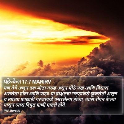 यहेज्केल 17:7 MARIRV Bible Verse Image