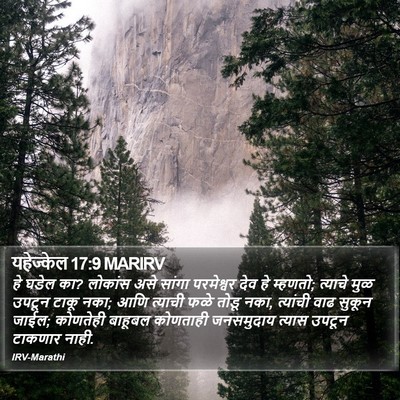 यहेज्केल 17:9 MARIRV Bible Verse Image