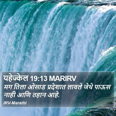 यहेज्केल 19:13 MARIRV Bible Verse Image