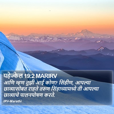 यहेज्केल 19:2 MARIRV Bible Verse Image
