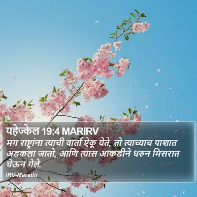 यहेज्केल 19:4 MARIRV Bible Verse Image