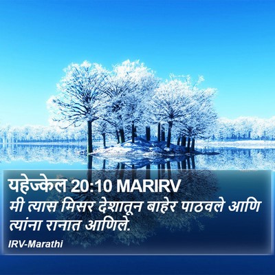 यहेज्केल 20:10 MARIRV Bible Verse Image