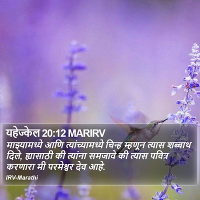 यहेज्केल 20:12 MARIRV Bible Verse Image
