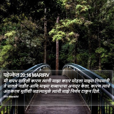 यहेज्केल 20:16 MARIRV Bible Verse Image