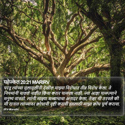 यहेज्केल 20:21 MARIRV Bible Verse Image