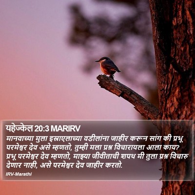 यहेज्केल 20:3 MARIRV Bible Verse Image