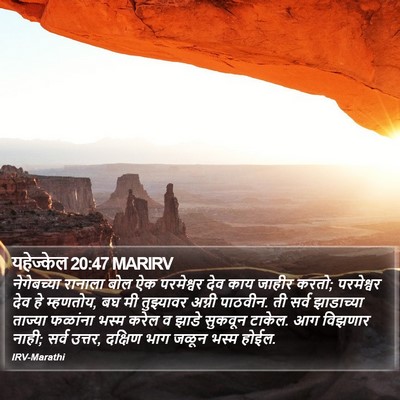 यहेज्केल 20:47 MARIRV Bible Verse Image