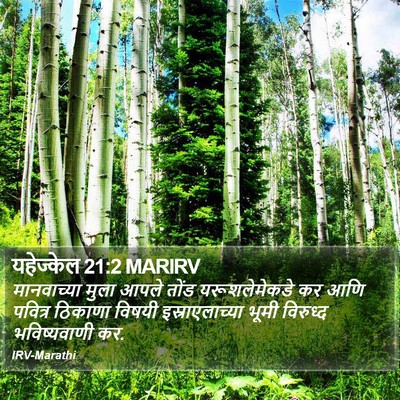 यहेज्केल 21:2 MARIRV Bible Verse Image