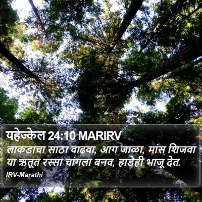 यहेज्केल 24:10 MARIRV Bible Verse Image