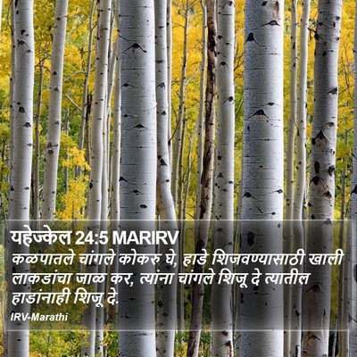यहेज्केल 24:5 MARIRV Bible Verse Image