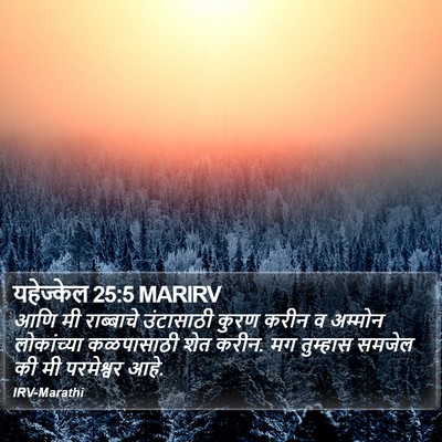 यहेज्केल 25:5 MARIRV Bible Verse Image