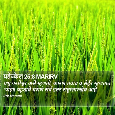 यहेज्केल 25:8 MARIRV Bible Verse Image