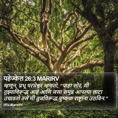 यहेज्केल 26:3 MARIRV Bible Verse Image