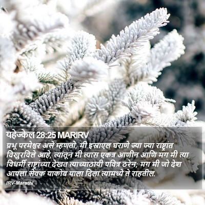 यहेज्केल 28:25 MARIRV Bible Verse Image