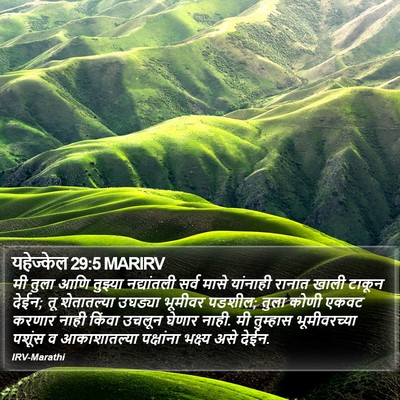 यहेज्केल 29:5 MARIRV Bible Verse Image